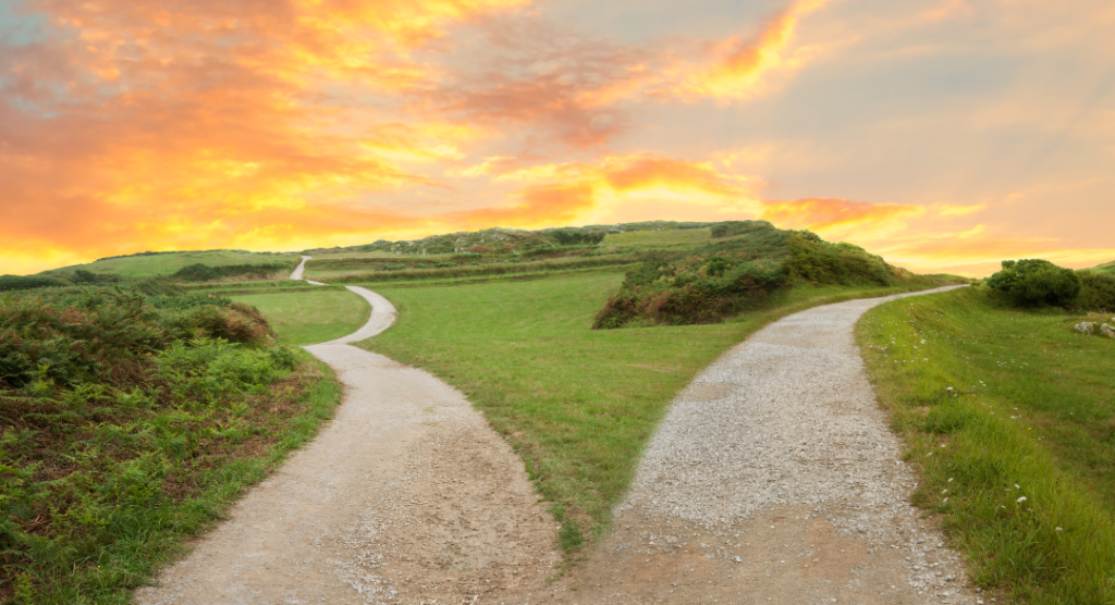 is it bipolar or schizoaffective disorder, diagnostic differences, mental health diagnosis confusion, mood disorder vs psychotic disorder