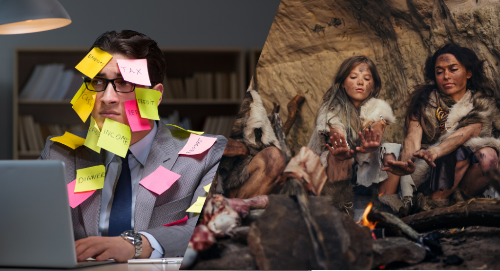 how stress affects your body, chronic stress physical effects, stress response biology, fight or flight modern life